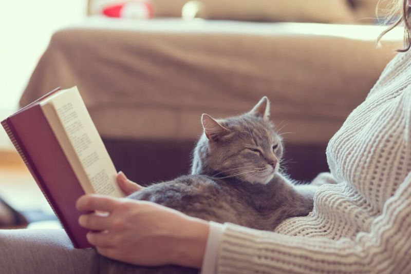 Mindful Companionship