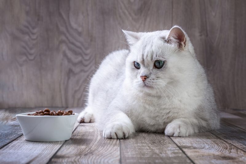 Finicky Eating Habits