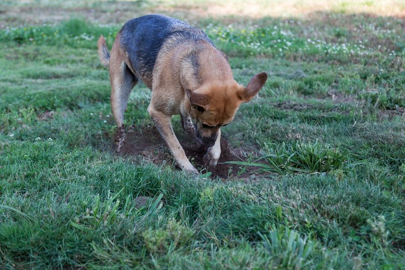 Burying Treasures For Later