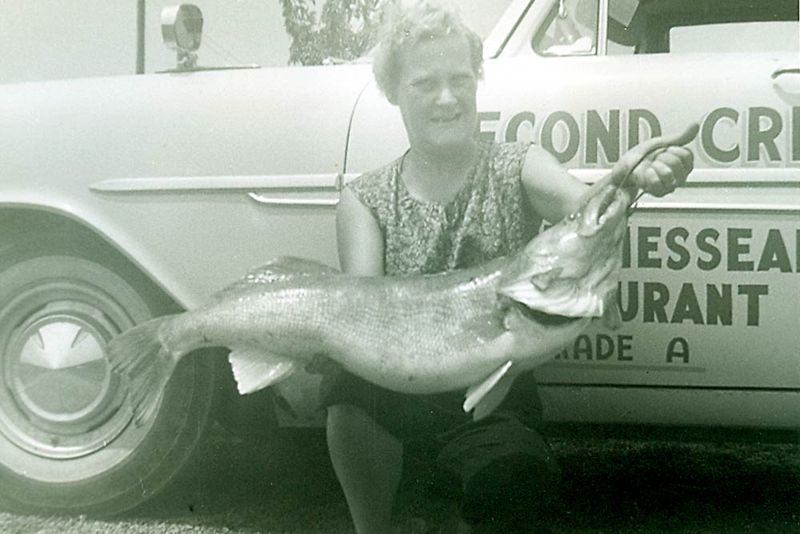 The Walleye Pike Wonder