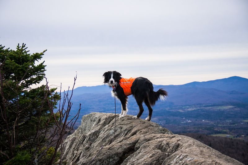 The Adventurous Spirit