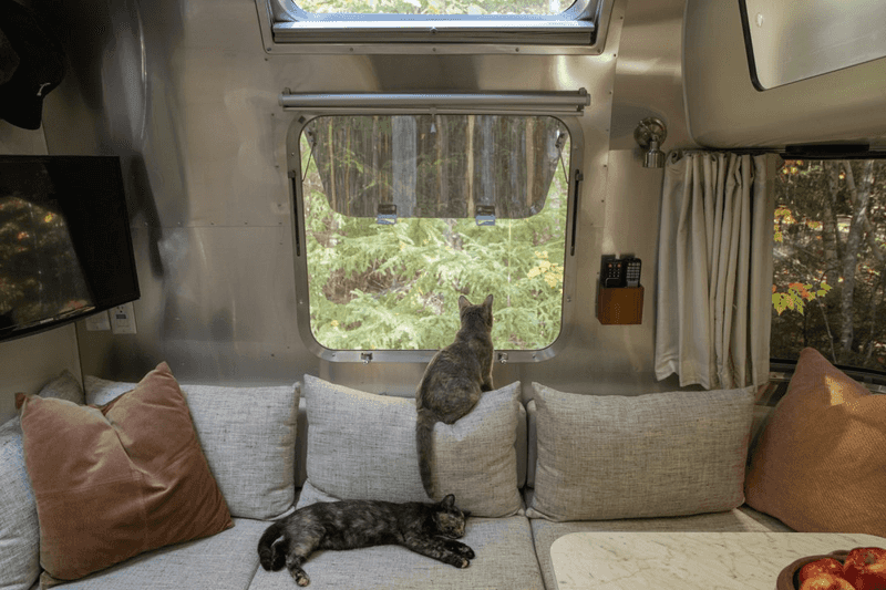 Adventure In Small Spaces