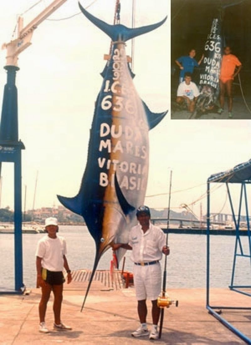 The Atlantic Blue Marlin Behemoth