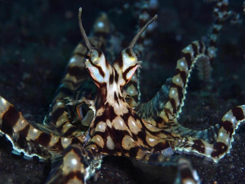 Adaptable Habitat