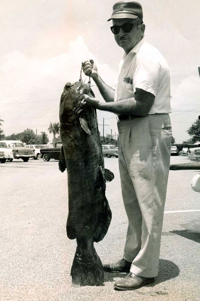 The Channel Catfish King