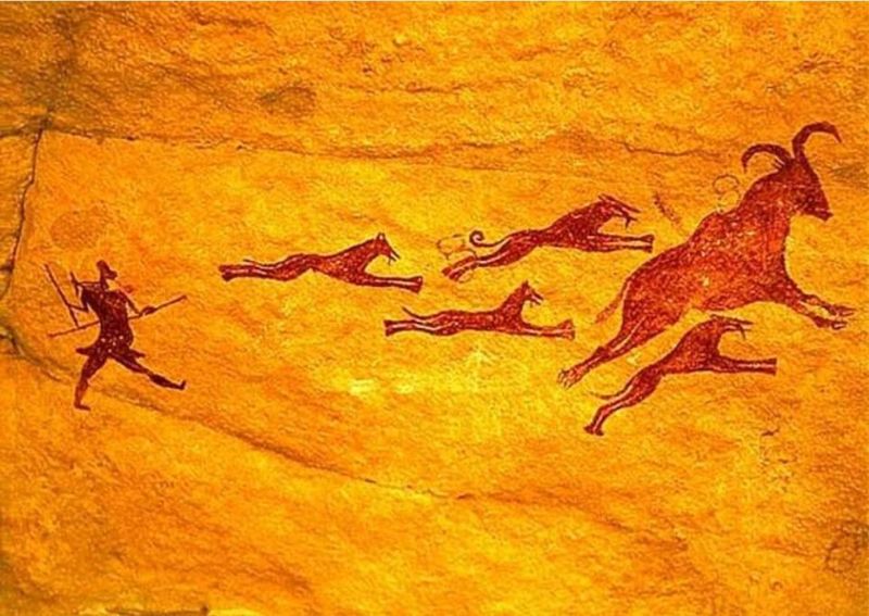 Why Pets Are Part Of Our Evolution