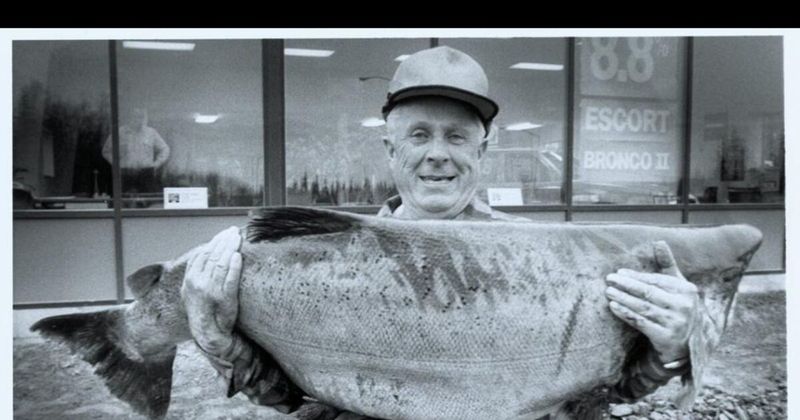 The Chinook Salmon Legend