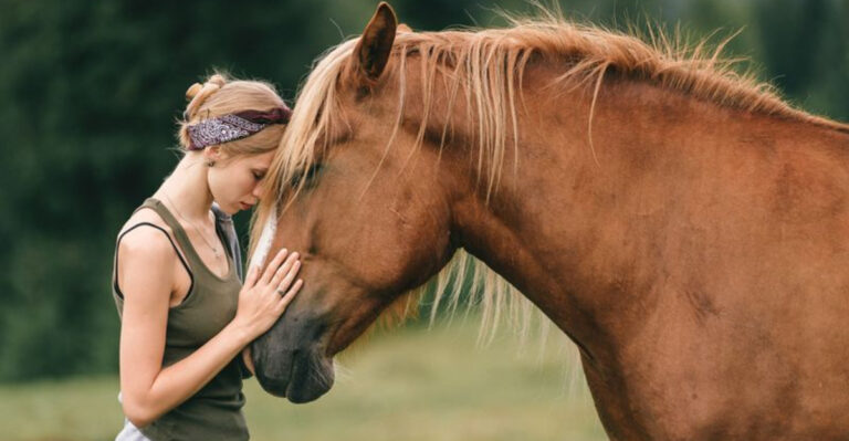 These 16 Animals Grieve The Same As Humans