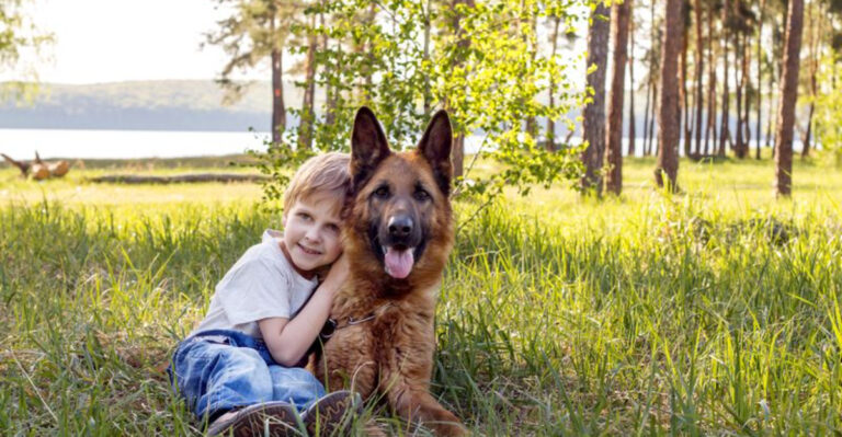 These Loyal Dog Breeds Make The Best Buddies For Any Family