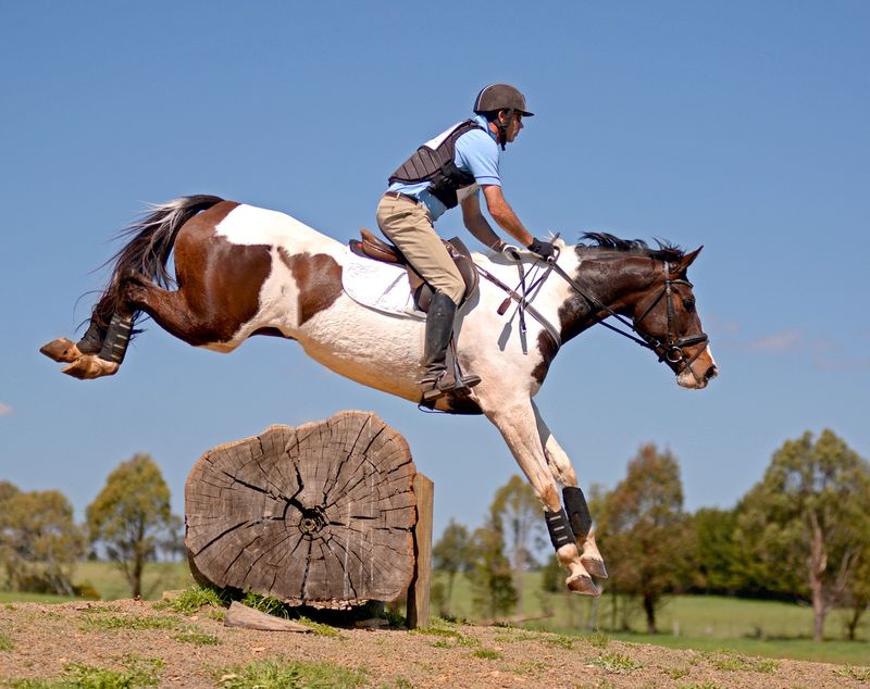 Paint Horse
