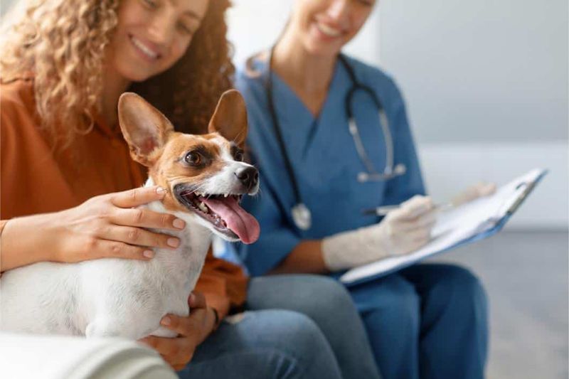 Pet Wellness Plans