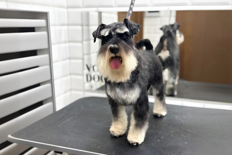 Grooming Requirements