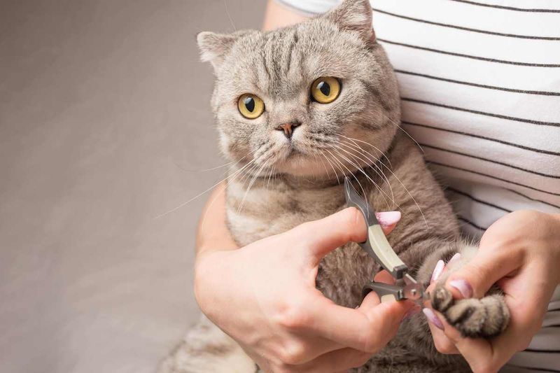 Enlist A Helper For Difficult Cases