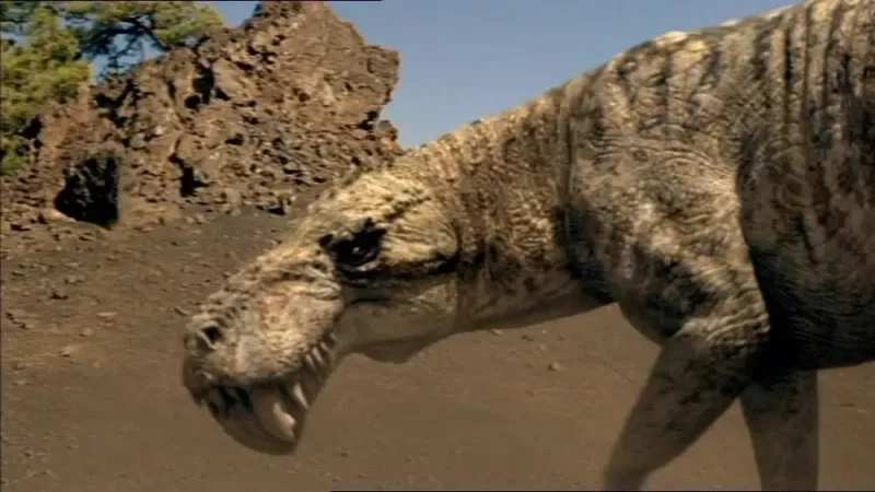 How A Newly Discovered Fossil Challenges Our Understanding Of Early Mammal Evolution