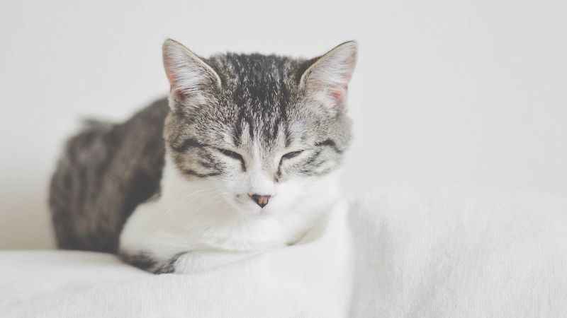Master The Slow Blink Technique