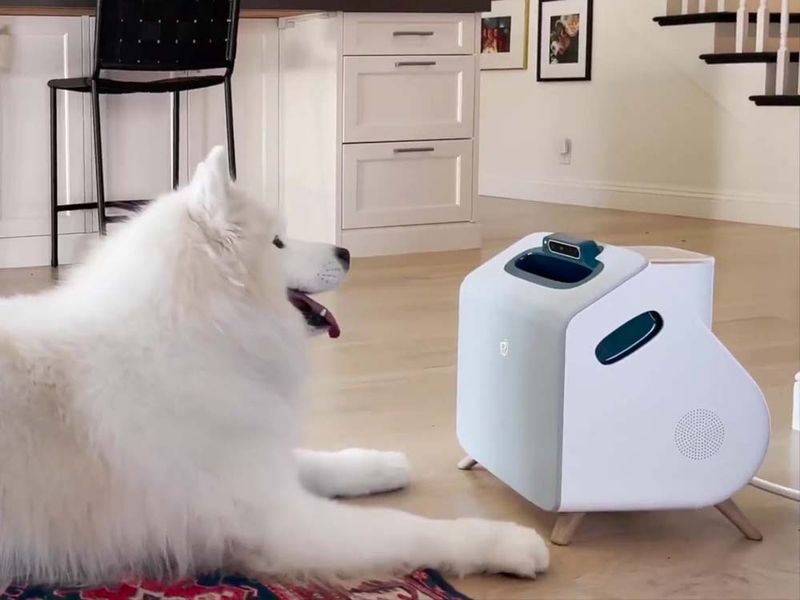 Consider An Automatic Training Device