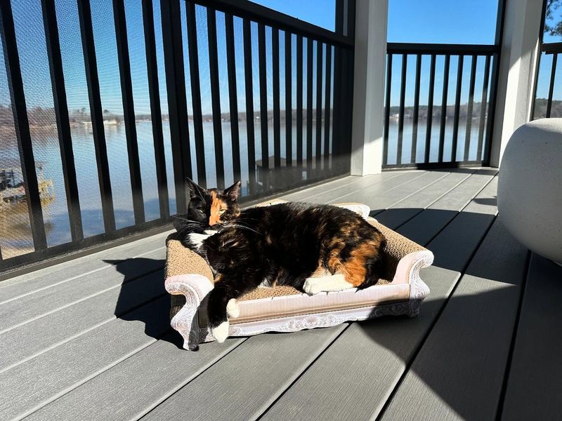 Sunbathing Spots