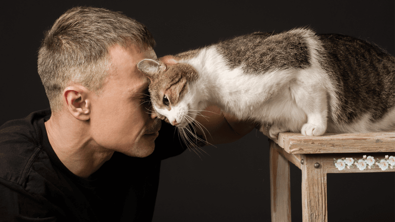 The Head-Butting Privilege