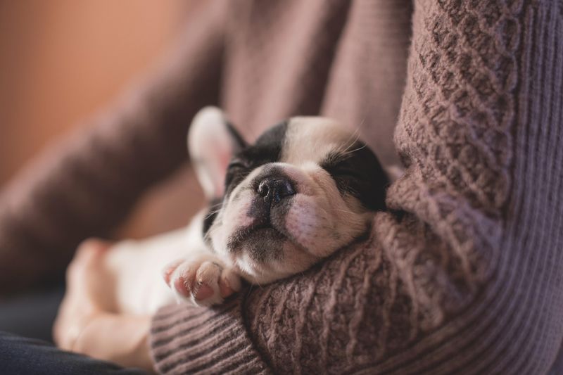 Stress-Busting Cuddles