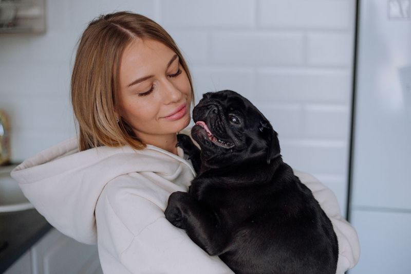 Pug