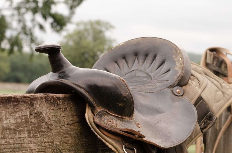 Western Riding Is Easier Than English