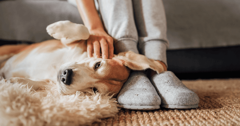 Lying On Your Feet