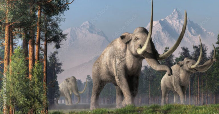 10 American Beasts That No Longer Roam The Lands (And 3 Beasts Still Here To This Day)