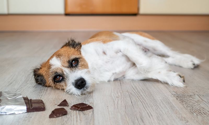 Chocolate
