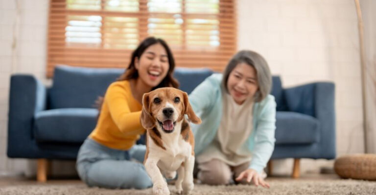 10 Dog Breeds That Love Visitors (And 5 That Enjoy Their Peace And Quiet)