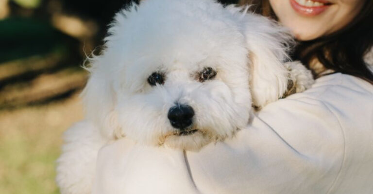 10 Most Huggable Dog Breeds And 5 That Avoid Being Held