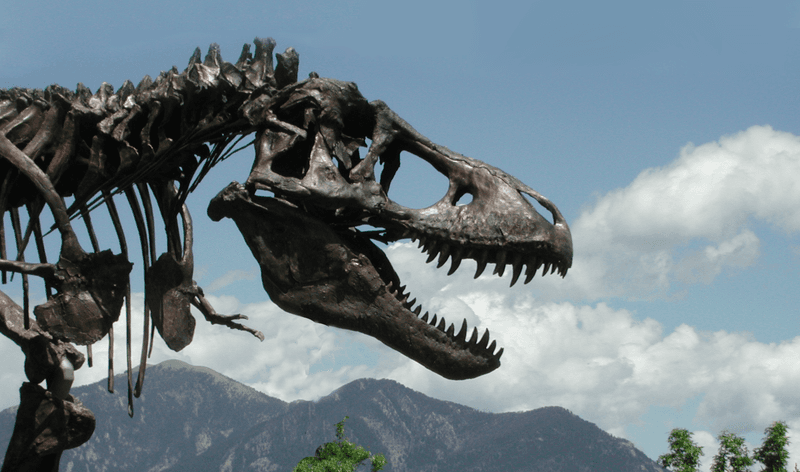Tyrannosaurus Rex
