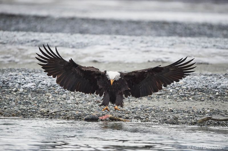 Alaska