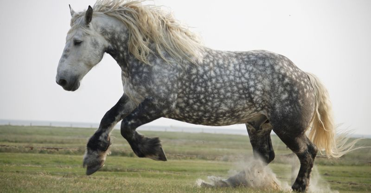 11 Gigantic Horse Breeds That Will Leave You Breathless (And 3 That Are Surprisingly Petite)
