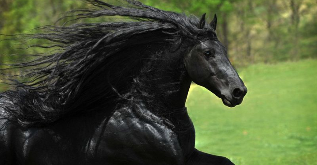 11 Horse Breeds With Jaw-Dropping Price Tags (And 4 That Are Surprisingly Affordable)