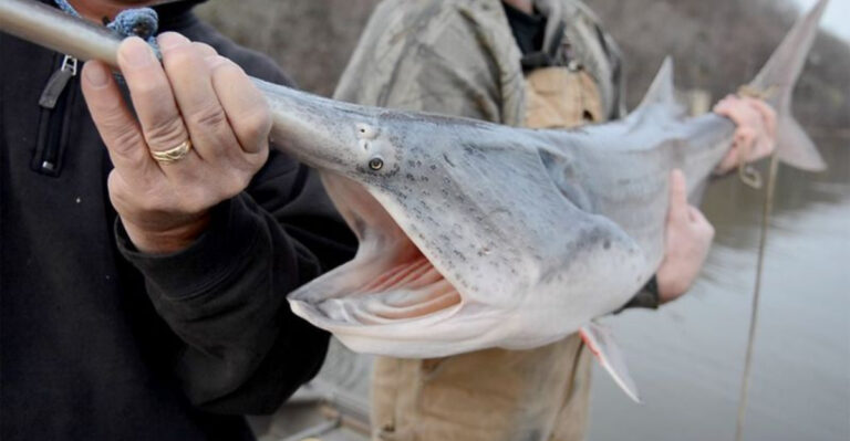 12 American Lakes That Lost Their Most Valuable Fish Species
