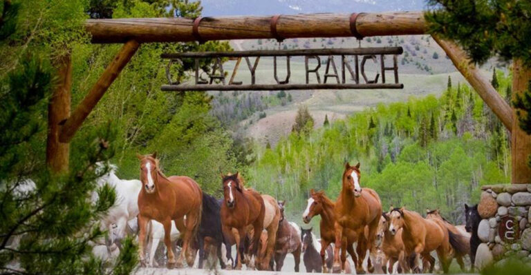 12 Best Ranches In The U.S. Every Horse Lover Must Visit