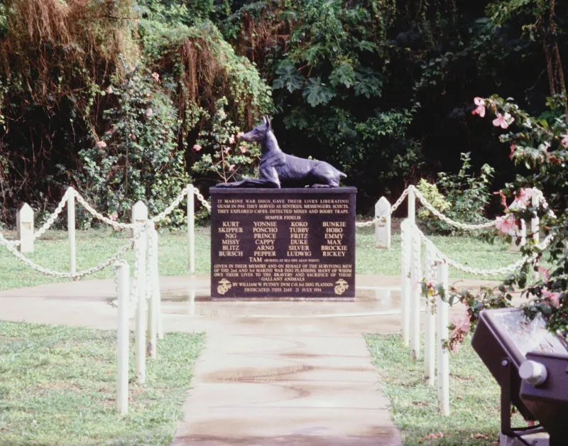 The Cemetery Started With Just 25 Dogs
