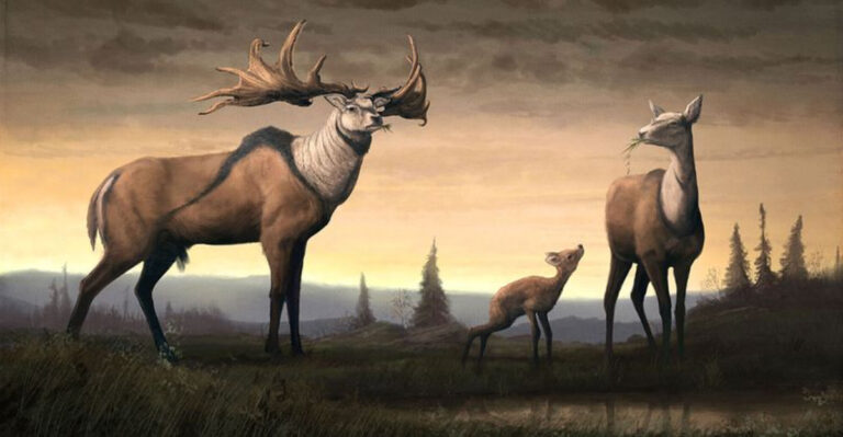 12 Fascinating Mammals We’ll Never See Again (And 2 Mammals That Have Lived The Longest)
