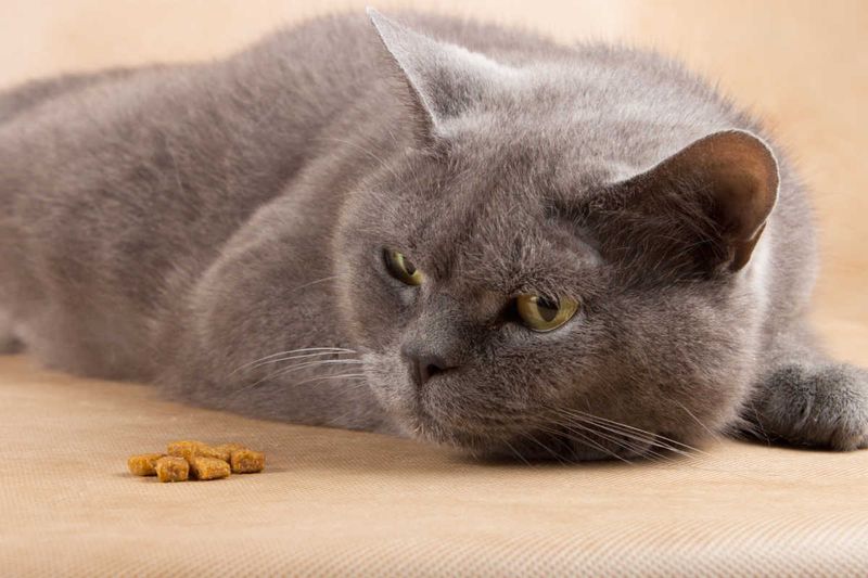 Refusing Food For Days