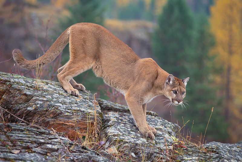 Support Local Conservation Groups