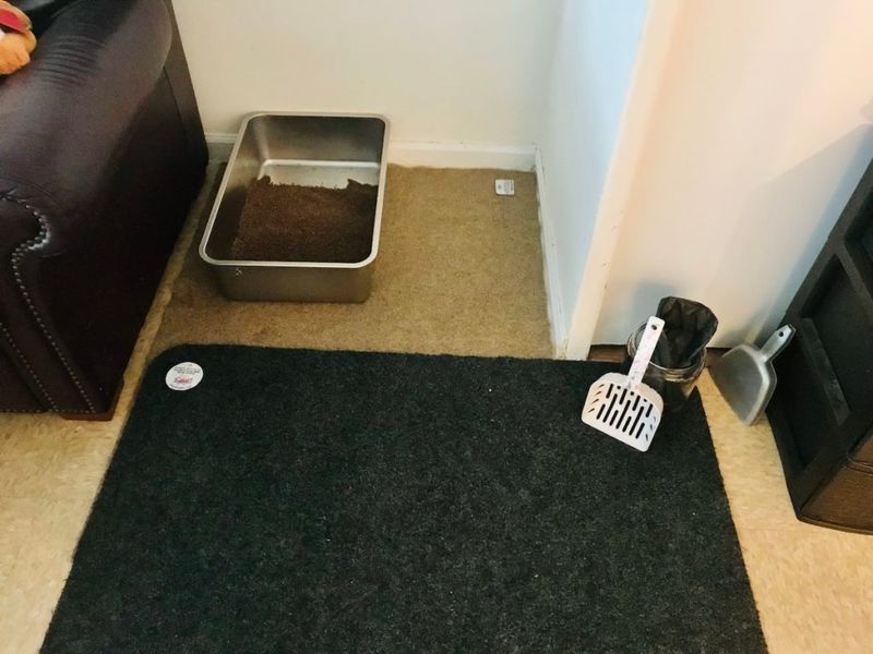The Litter Box Area
