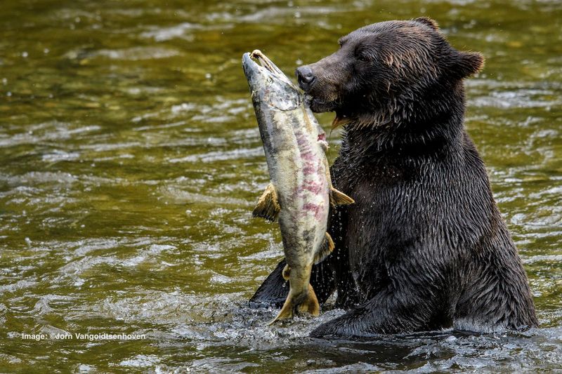 Alaska's Wilderness Haven