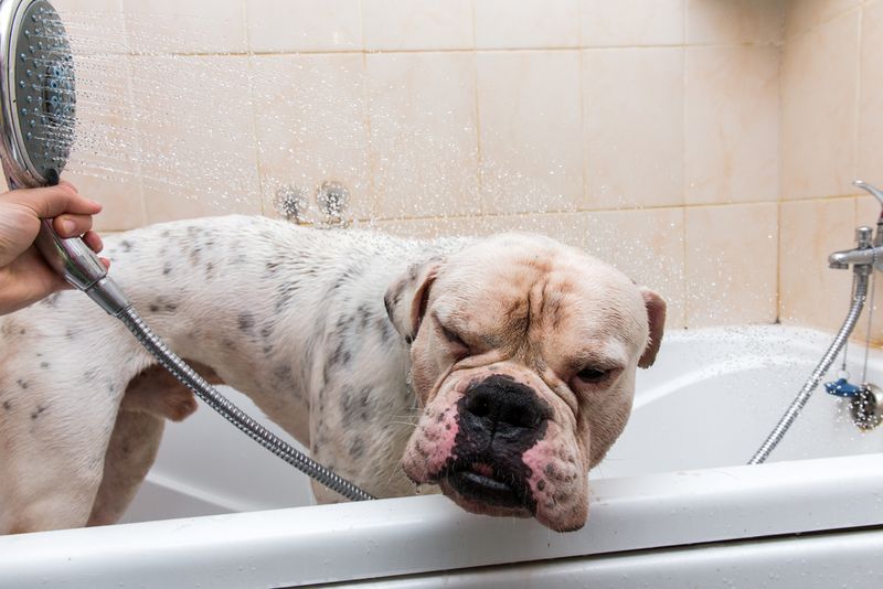 Oatmeal Bath
