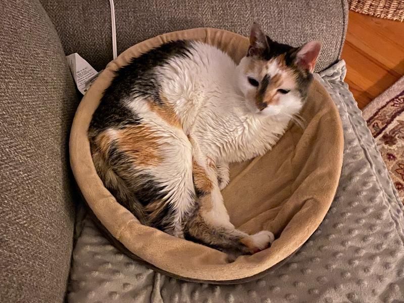 Increased Comfort And Warmth