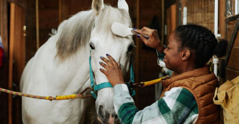 13 Vet-Approved Ways Grooming Improves Your Horse’s Health