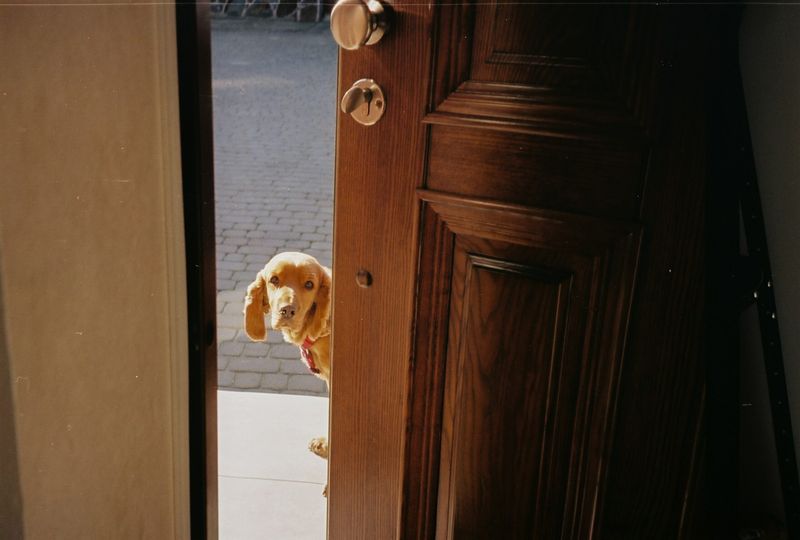 Door Dashing