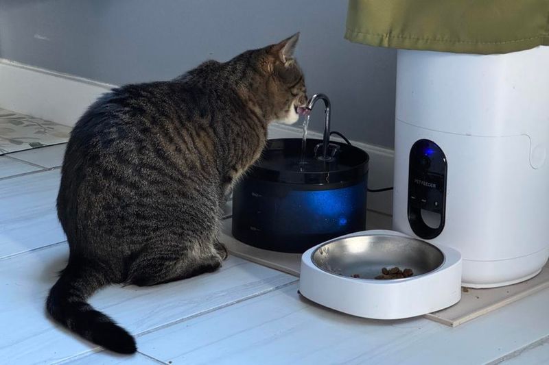 Skimping On Water Stations