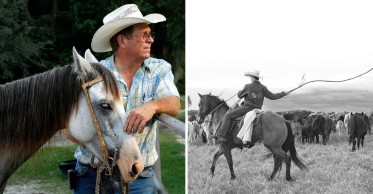 14 Fascinating Facts About Florida Cracker Horse – A Key Figure In American Cattle History