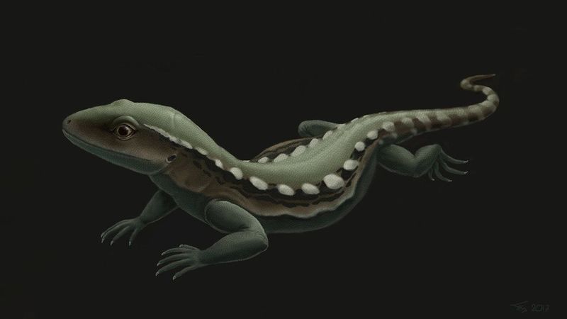 Hylonomus: Earth's First True Reptile