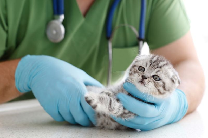 Mystery Medical History
